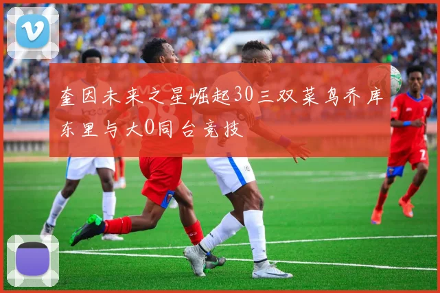 奎因未来之星崛起30三双菜鸟乔库东里与大O同台竞技