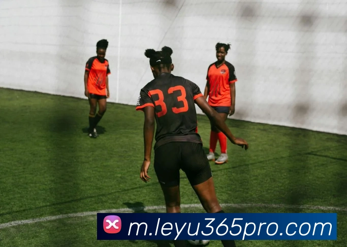 App Interface Preview